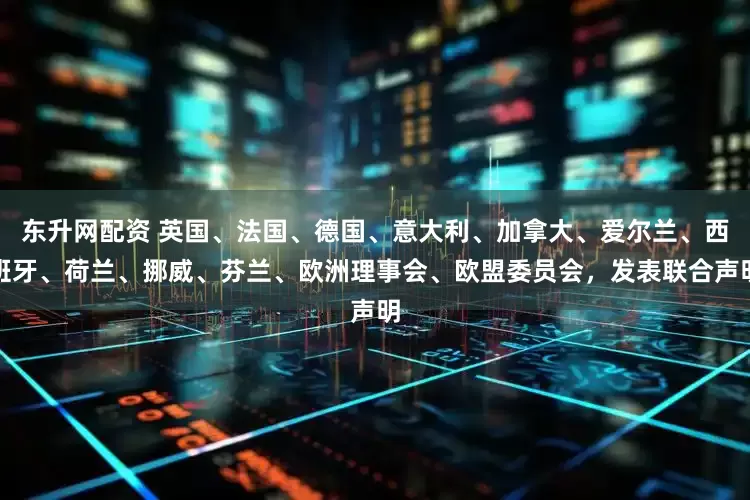 东升网配资 英国、法国、德国、意大利、加拿大、爱尔兰、西班牙、荷兰、挪威、芬兰、欧洲理事会、欧盟委员会，发表联合声明